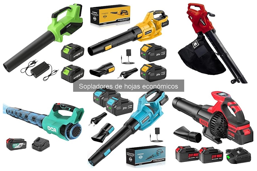 Cómo usar un soplador de hojas económico correctamente
