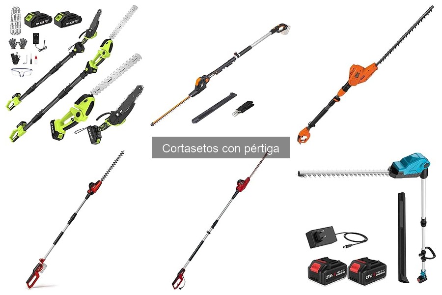Comparativa: Cortasetos con Pértiga vs Manuales