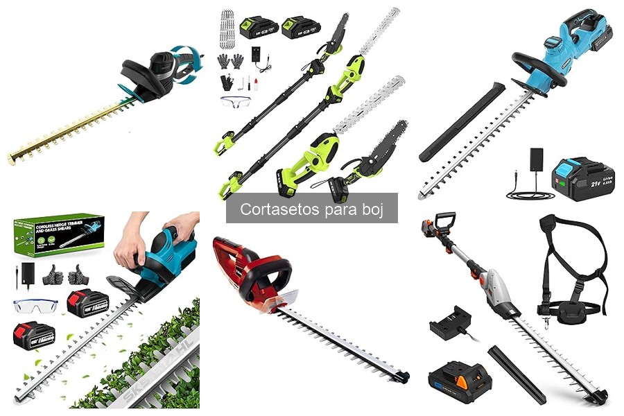 Comparativa: Cortasetos eléctricos vs. de gasolina para boj
