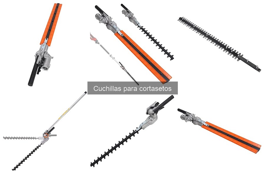 Comparativa: Cuchillas de acero de carbono vs inoxidable