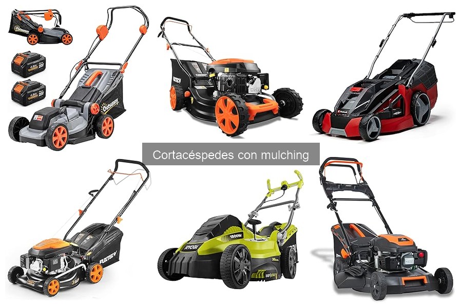 Comparativa de cortacéspedes con mulching: FUXTEC, Outsunny y Cecotec
