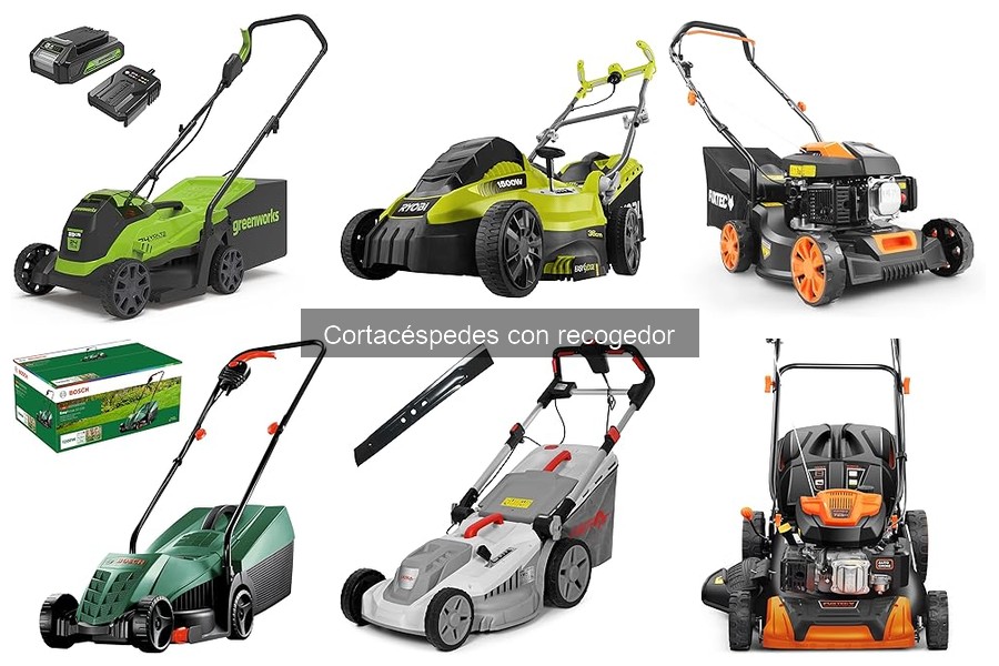 ** Comparativa de cortacéspedes con recogedor para mayores