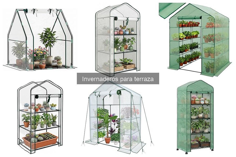 Comparativa de invernaderos: plástico vs vidrio para terraza