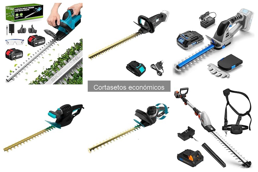 Comparativa de los Mejores Cortasetos Económicos 2023