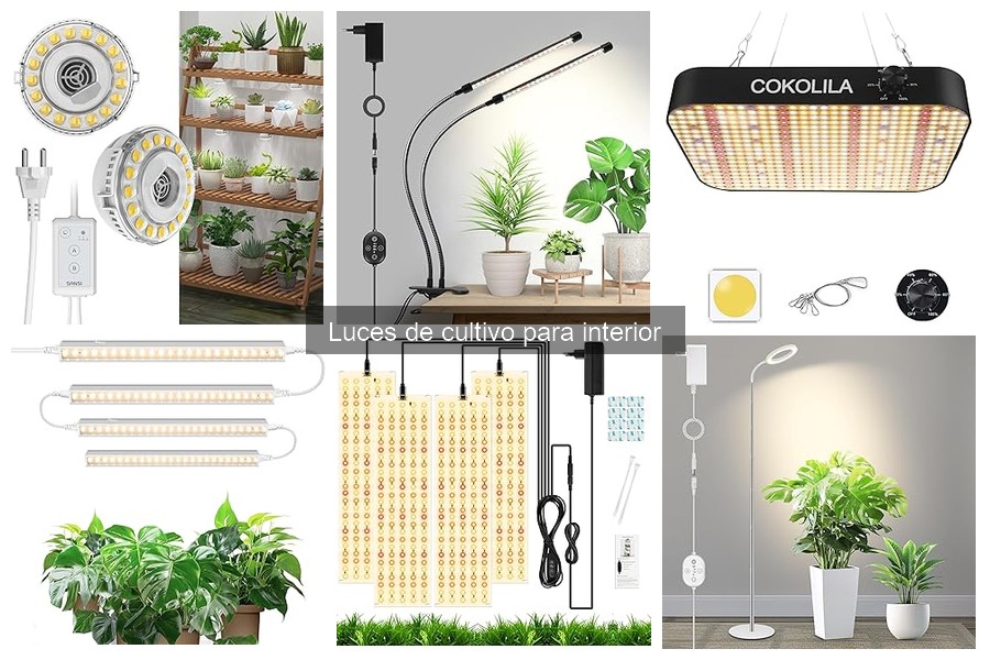Comparativa de Luces de Cultivo para Interior: Mejores Marcas