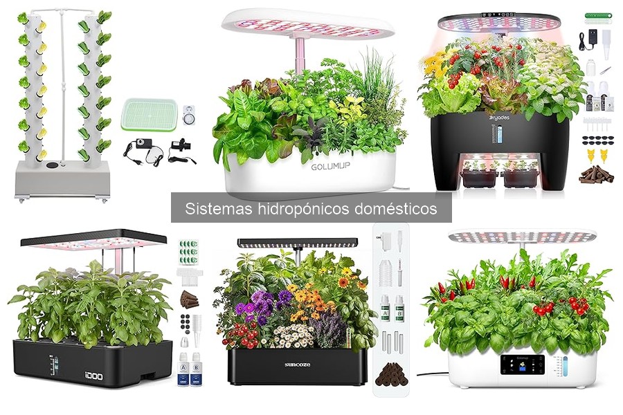 Comparativa: Hidroponía vs Cultivo Tradicional en Jardín