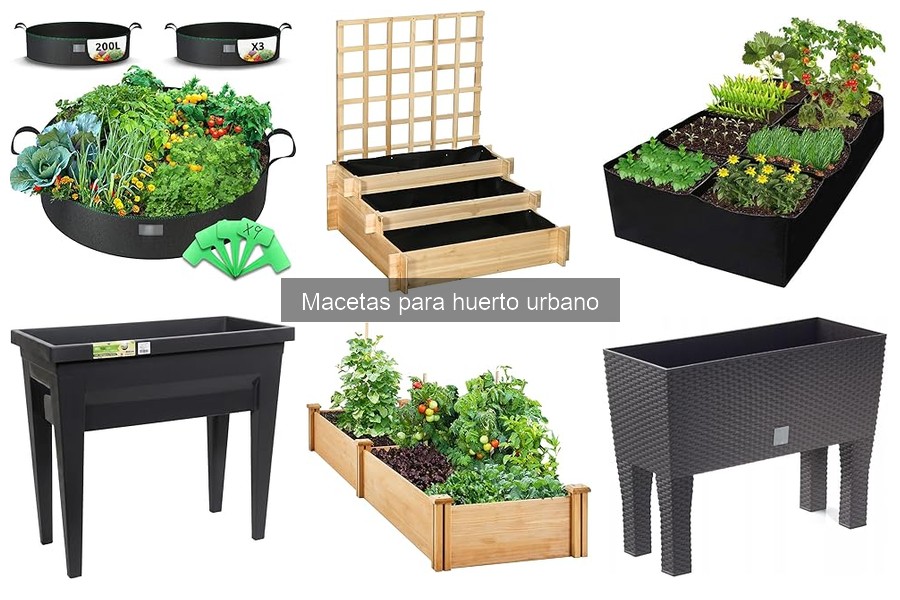 Comparativa: Macetas de Plástico vs Cerámica para Huertos