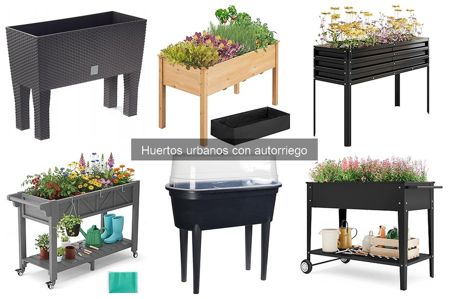 Consejos para Cultivar Plantas en Huertos Urbanos con Autorriego