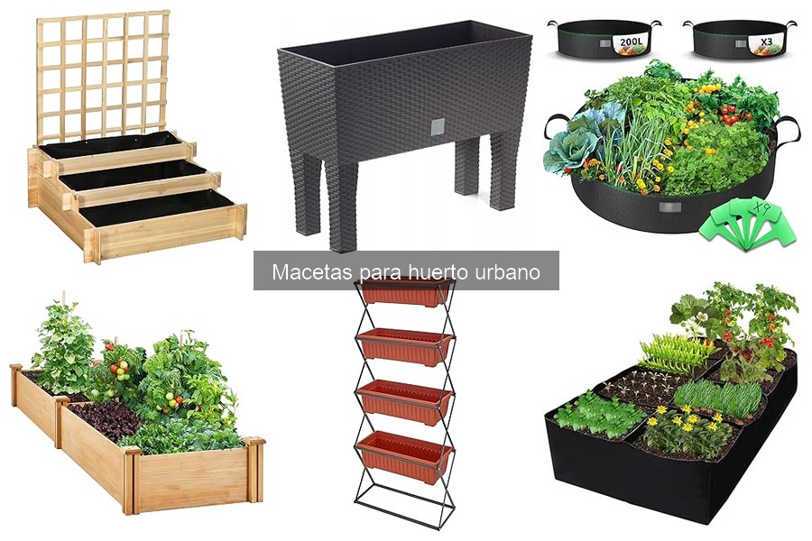 Consejos para Decorar Macetas de Huerto Urbano