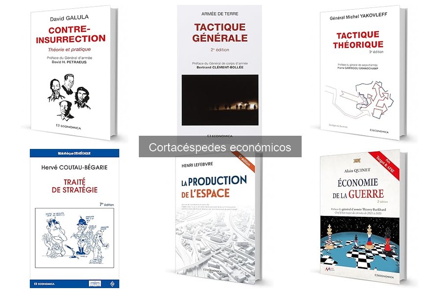 Consejos para Optimizar el Uso de Cortacéspedes Económicos