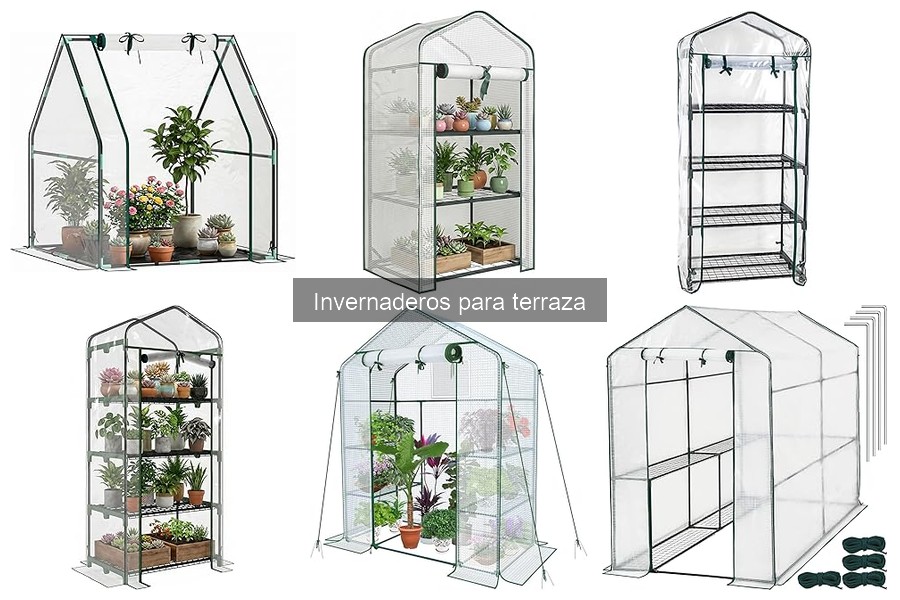 Consejos para Sacar el Máximo Provecho a tu Invernadero en la Terraza