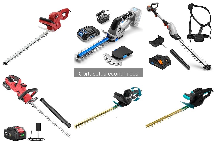Cortasetos económicos: Beneficios y características clave