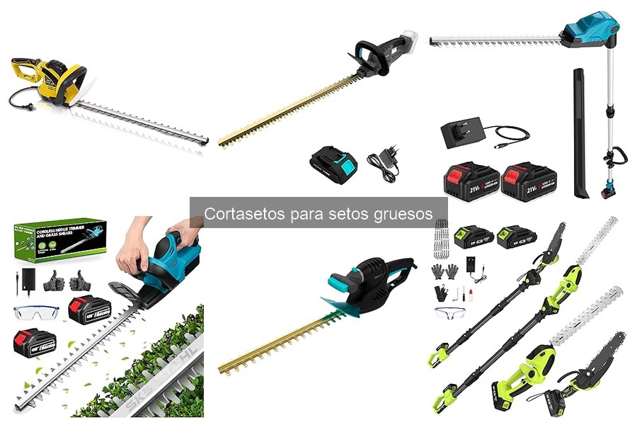 ** Cortasetos: ¿Qué son y para qué sirven?