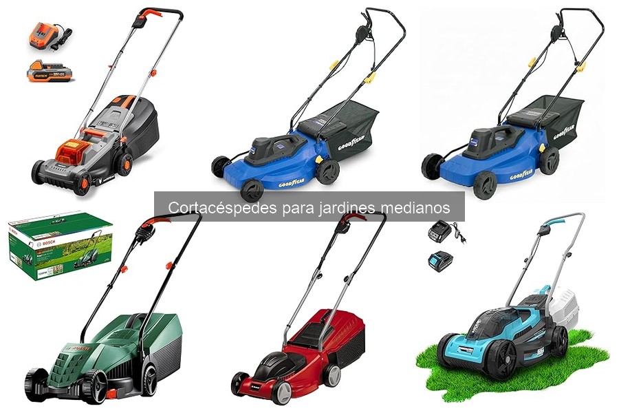 ¿Cuándo cortar el césped? Mejores momentos y consejos