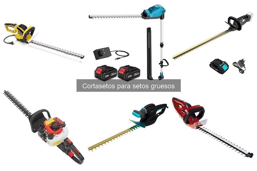 ¿Cuándo usar un cortasetos? Temporadas y consejos útiles