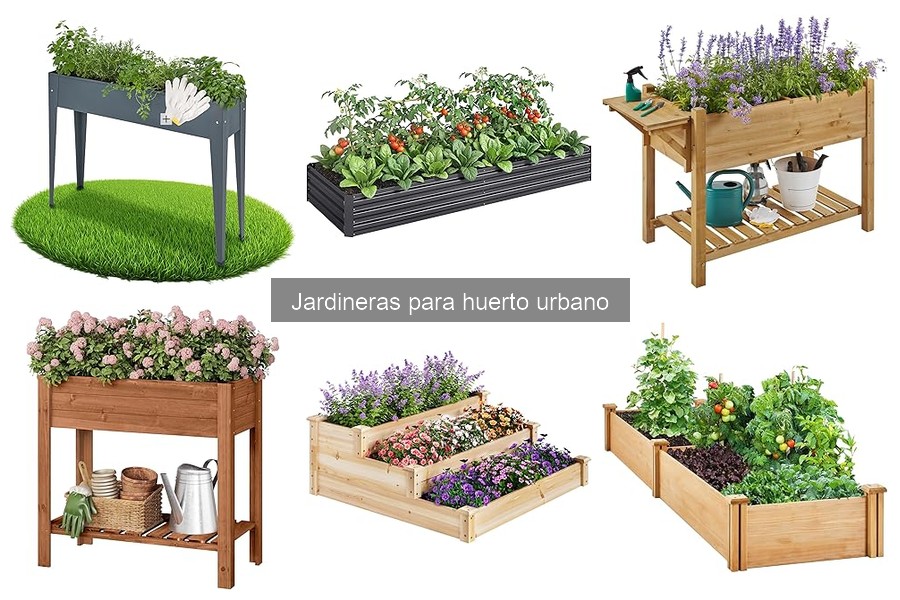 ** Cuidados Esenciales para Jardineras de Huertos Urbanos