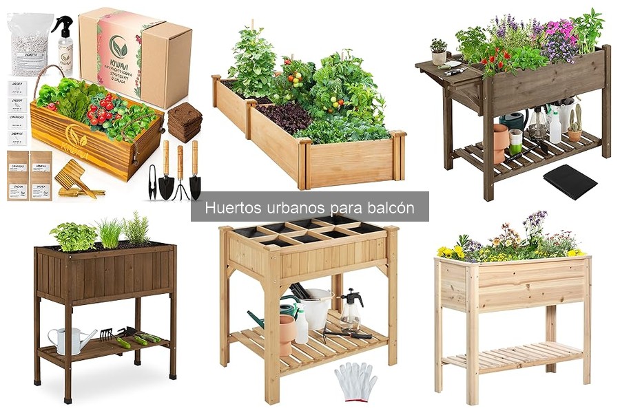 Cultivo de Hierbas Aromáticas en tu Balcón: Guía Práctica
