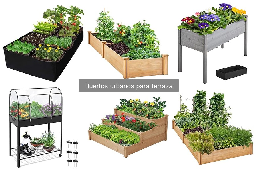 Cultivos de Temporada para Huertos Urbanos en Terraza