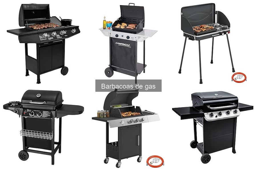 Deliciosas recetas para barbacoa de gas que debes probar