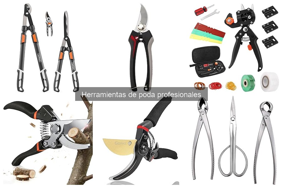 Desmintiendo mitos sobre herramientas de poda