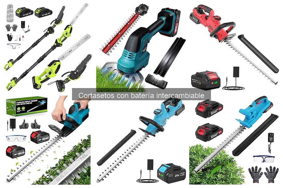 Dónde comprar cortasetos con batería intercambiable baratos