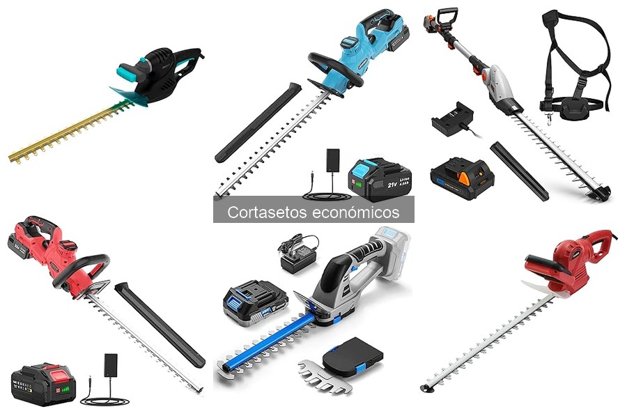 Dónde comprar cortasetos económicos: precios y mejores ofertas