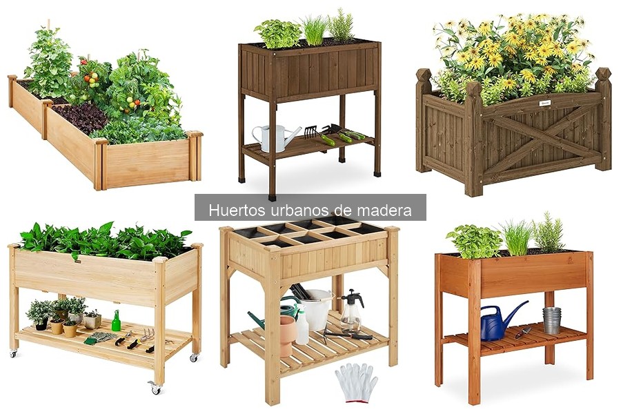 Dónde comprar huertos urbanos de madera: precios y opciones