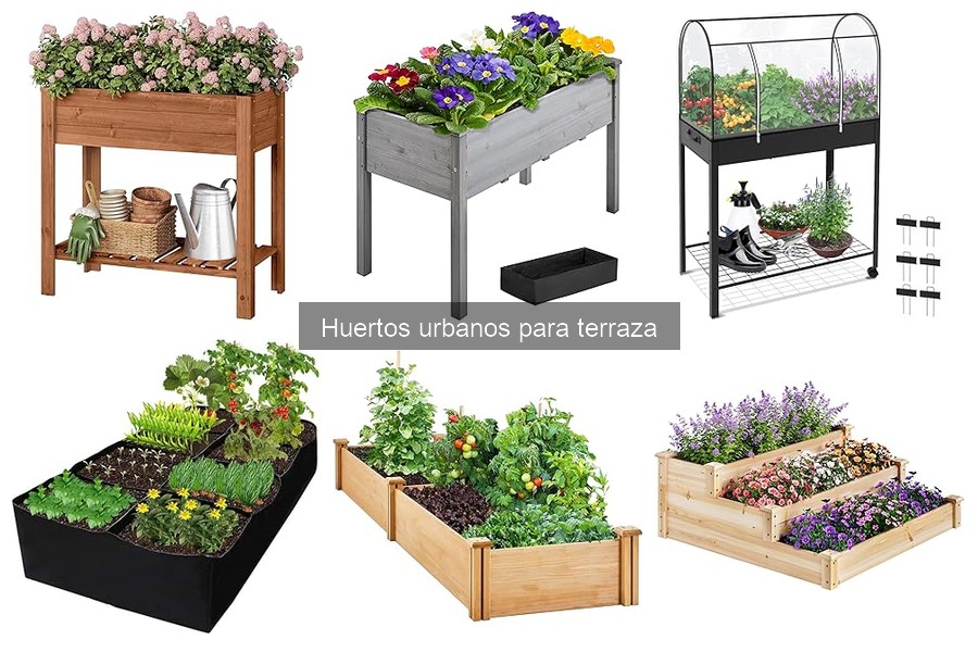 Dónde Comprar Productos para Huertos Urbanos en Terraza