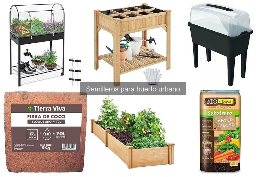 Dónde comprar semilleros para huerto urbano: guía práctica