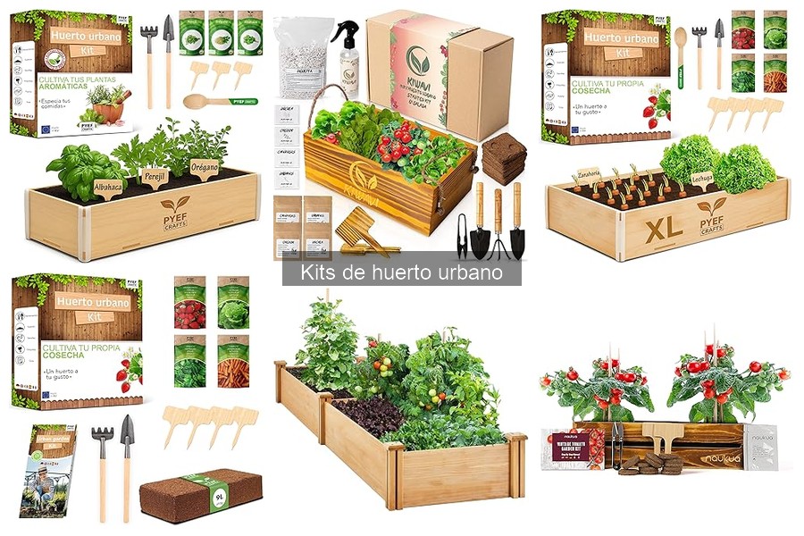 Dónde comprar un kit de huerto urbano: Mejores opciones
