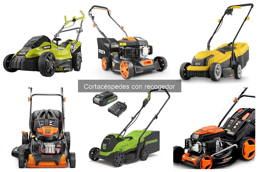 Elige el mejor cortacésped con recogedor: guía completa
