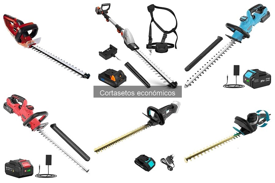 Errores comunes al usar cortasetos económicos y cómo evitarlos