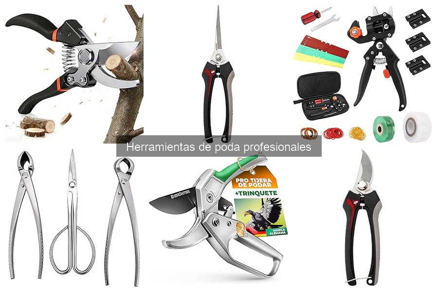 Errores Comunes al Usar Herramientas de Poda y Cómo Evitarlos
