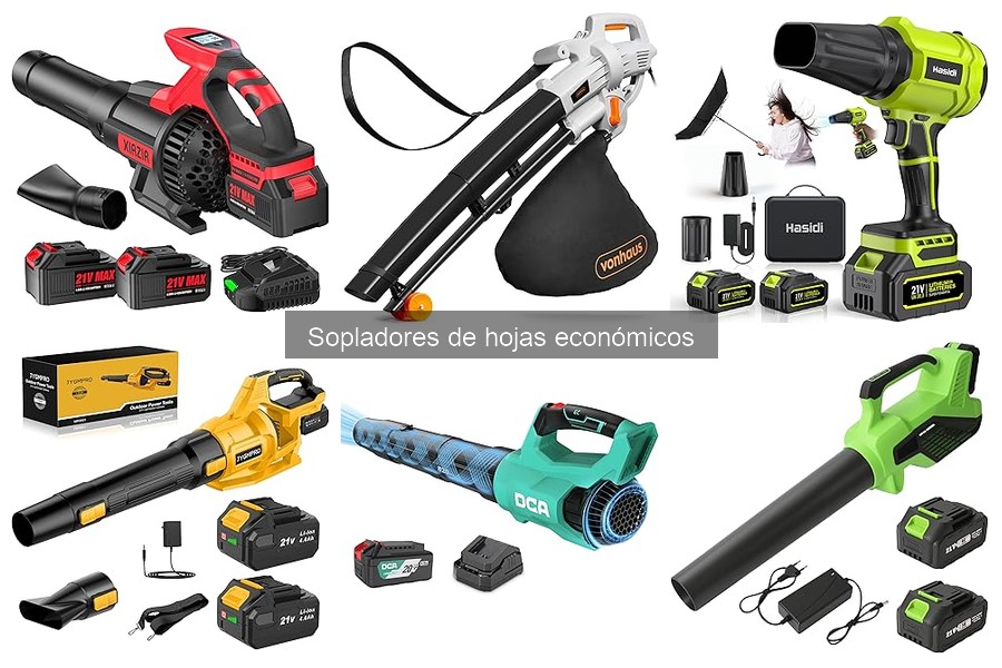 Errores comunes al usar sopladores de hojas económicos