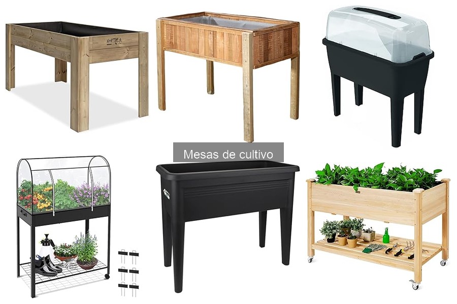 Experiencias de Usuarios con Mesas de Cultivo: Testimonios Reales