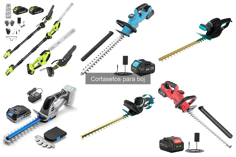 Guía de Compra: Cortasetos para Boj Efectivos y Prácticos