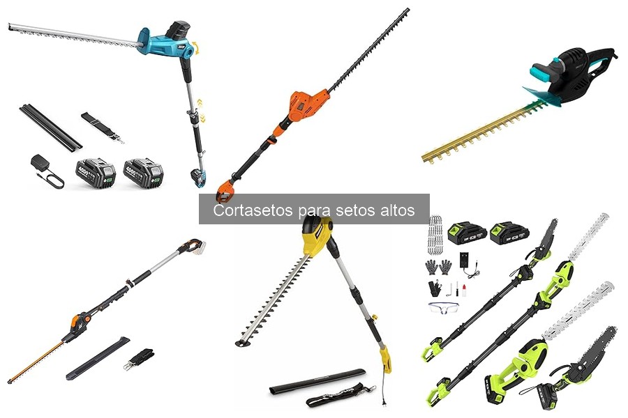 Guía de compra cortasetos para setos altos: consejos clave