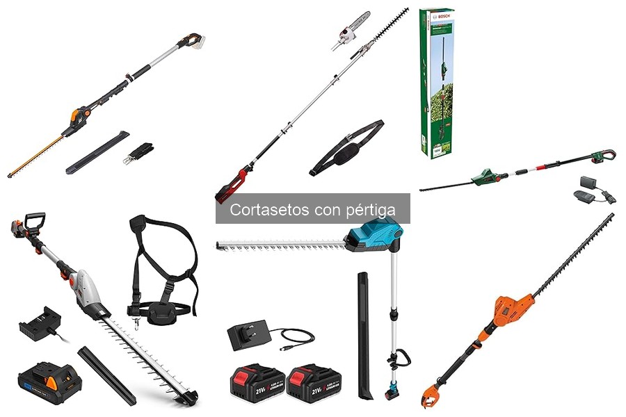 Guía de compra de cortasetos con pértiga para un jardín perfecto