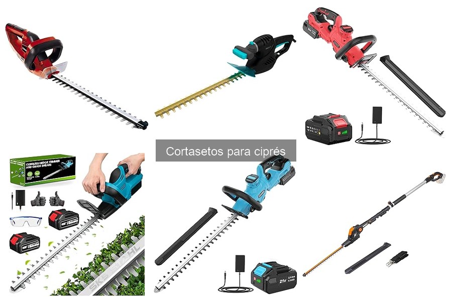 Guía de compra de cortasetos para cipreses: Elige el mejor