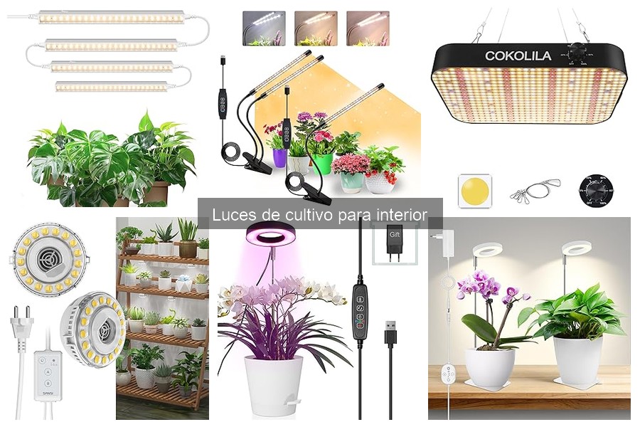 Guía de compra de luces de cultivo para interior