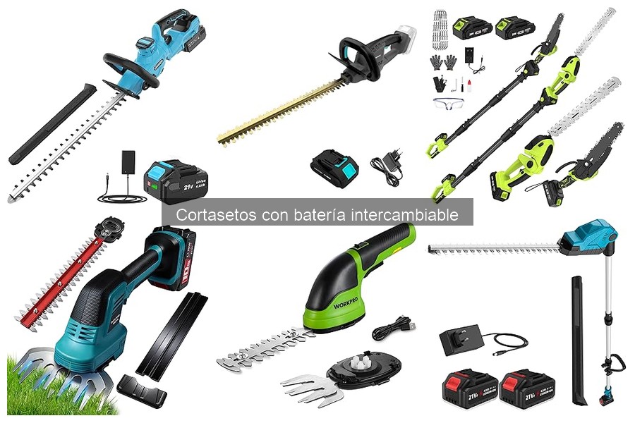 Guía de uso y mantenimiento para cortasetos con batería