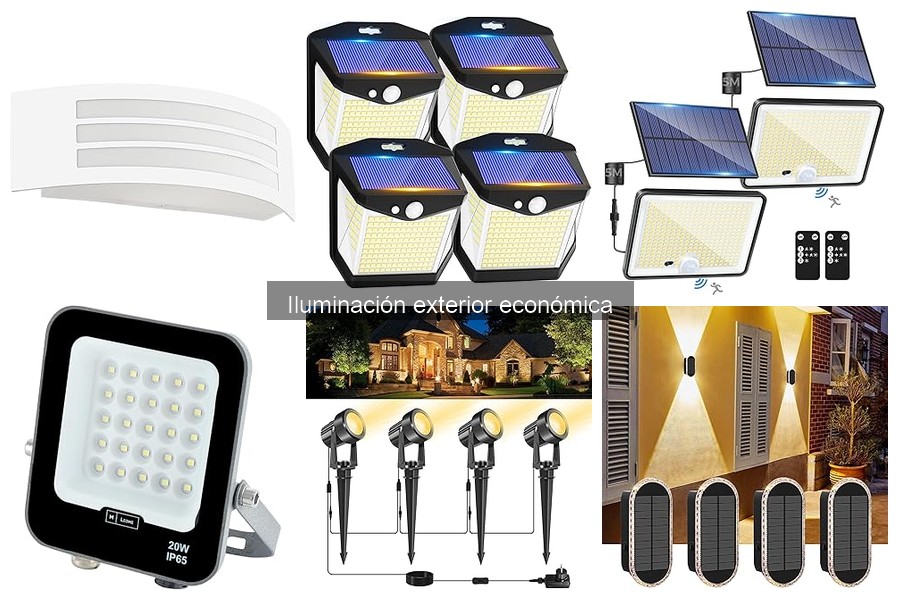 Guía para Elegir Iluminación Exterior Económica