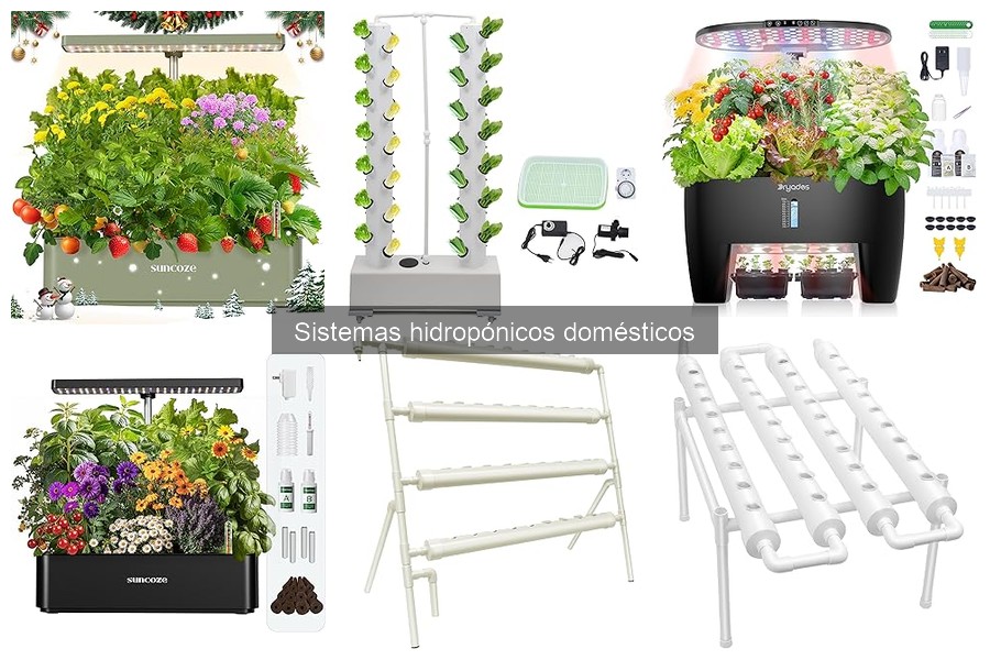 Guía para Elegir un Sistema Hidropónico Doméstico