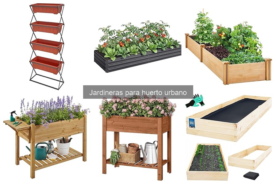 Jardineras verticales vs tradicionales: ventajas y desventajas