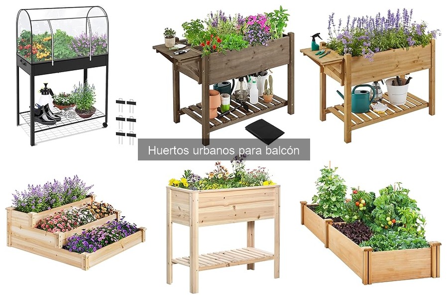Mantén tu Huerto Urbano en el Balcón: Consejos Esenciales