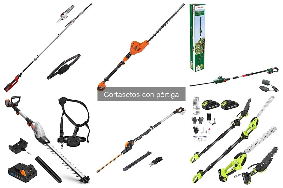Mantenimiento de cortasetos con pértiga: guía práctica