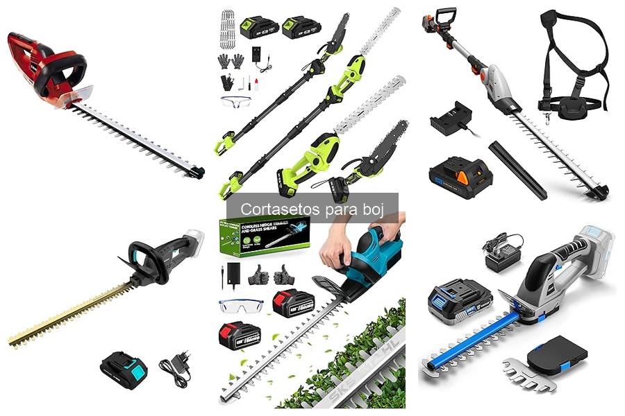 Mantenimiento de Cortasetos para Buxo: Mejores Prácticas