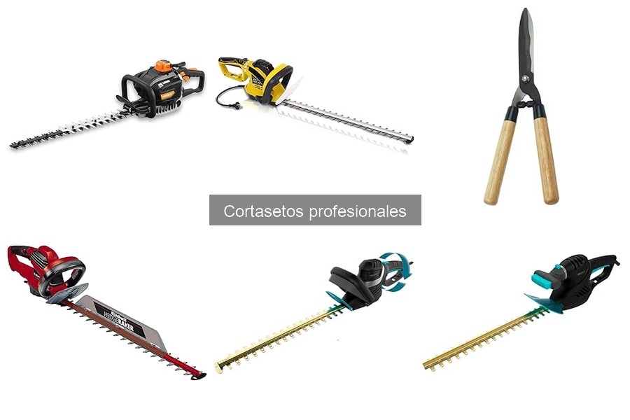 Mantenimiento de Cortasetos Profesionales: Guía Esencial