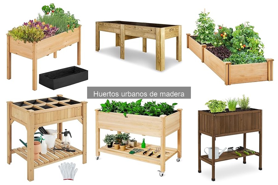 Mantenimiento de Huertos Urbanos de Madera: Guía Práctica