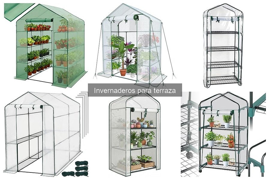 ** Mantenimiento de Invernaderos para Terraza: Guía Práctica